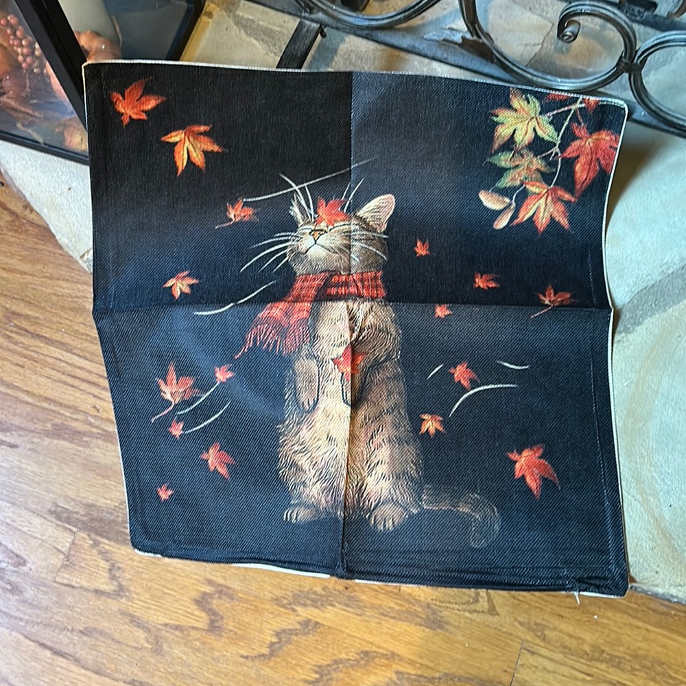 New Halloween Fall Cat Indoor Outdoor Pillow Case